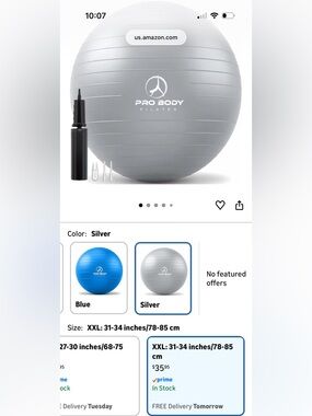 Pro Body Pilates 85 cm Exercise Ball - Silver